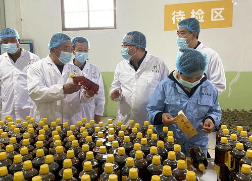 天津市甘肅商會赴武山縣考察，共探農產品與工藝品產銷合作新機遇